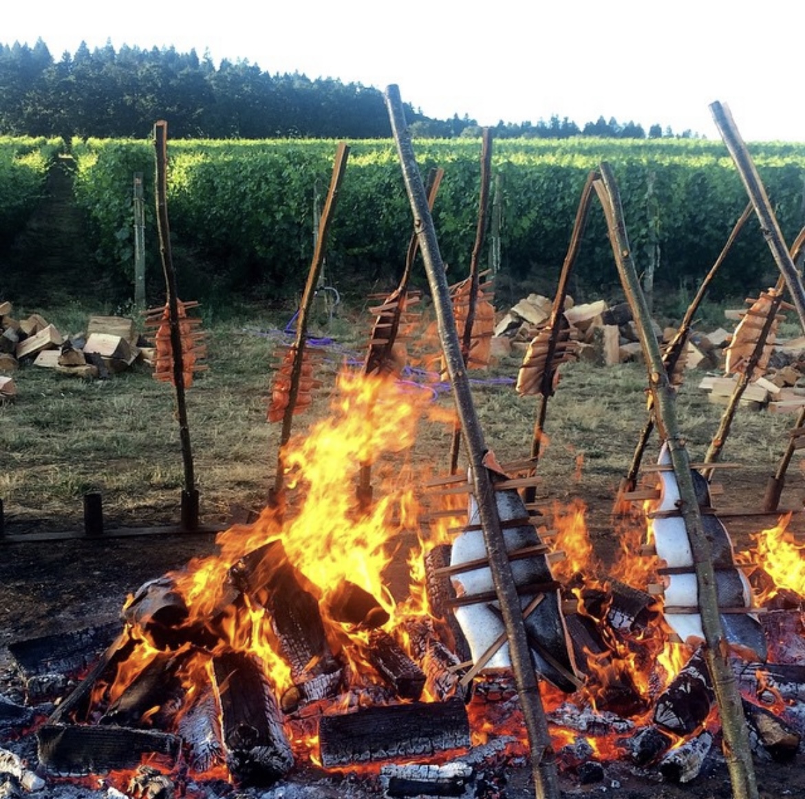 salmon bake on open flame